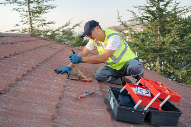 Sheet Metal Roofing in Granite City, IL